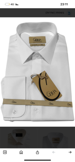 חולצה אוהה זהב גזרה סלים